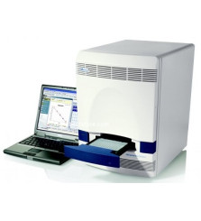 ABI Applied Biosystems 7500-Real Time PCR System